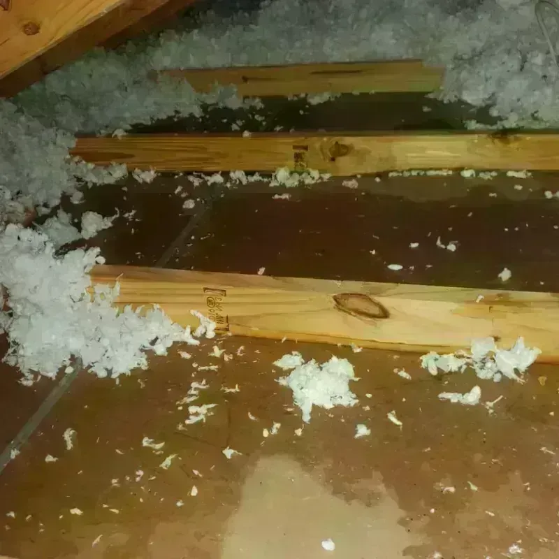 Attic Water Damage in La Salle, IL